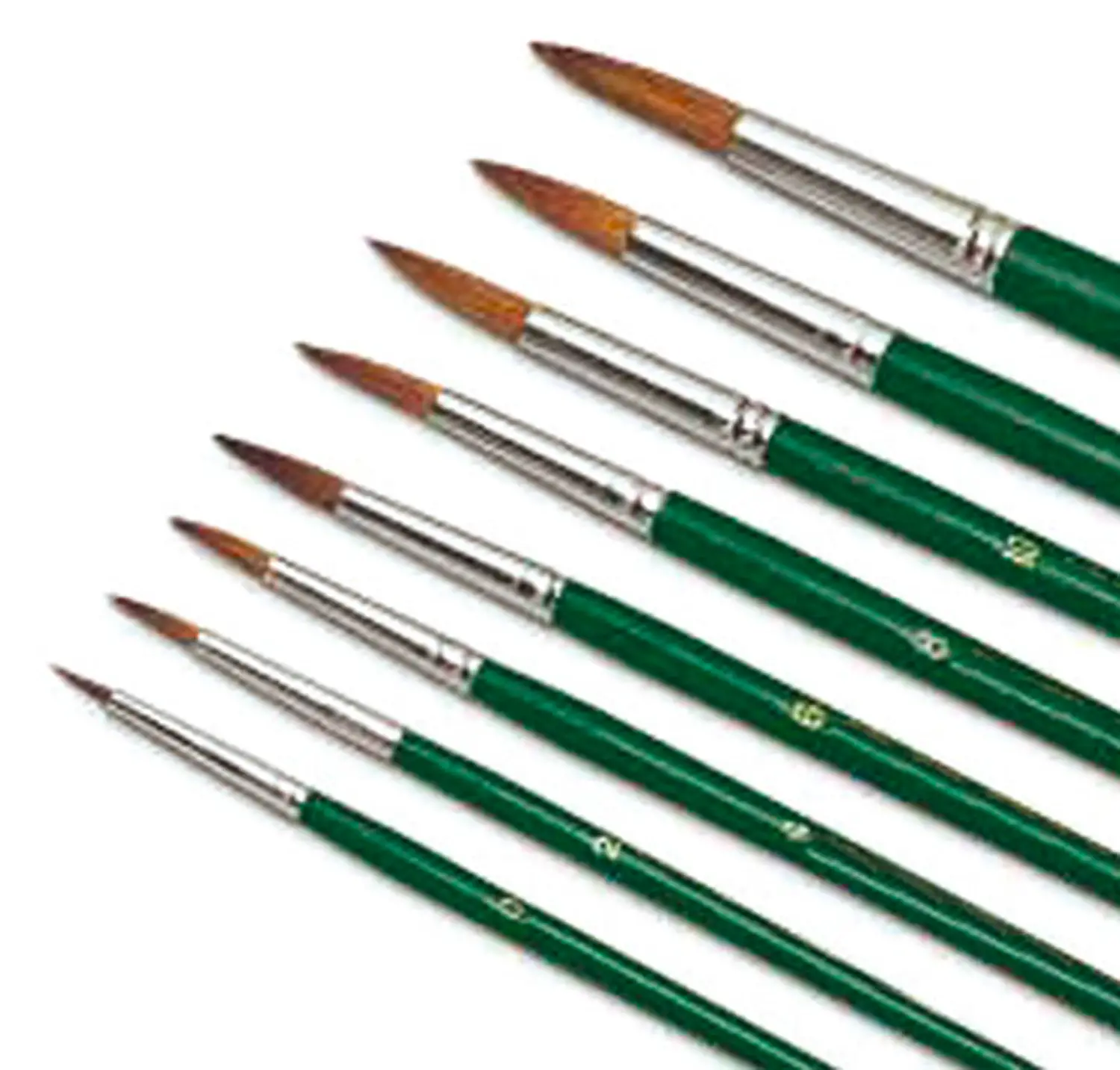 Pennelli in Pelo di Bue Punta Tonda - Misura da n. 0 a n. 12 - Set 7 pezzi assortiti - Pennelli e accessori