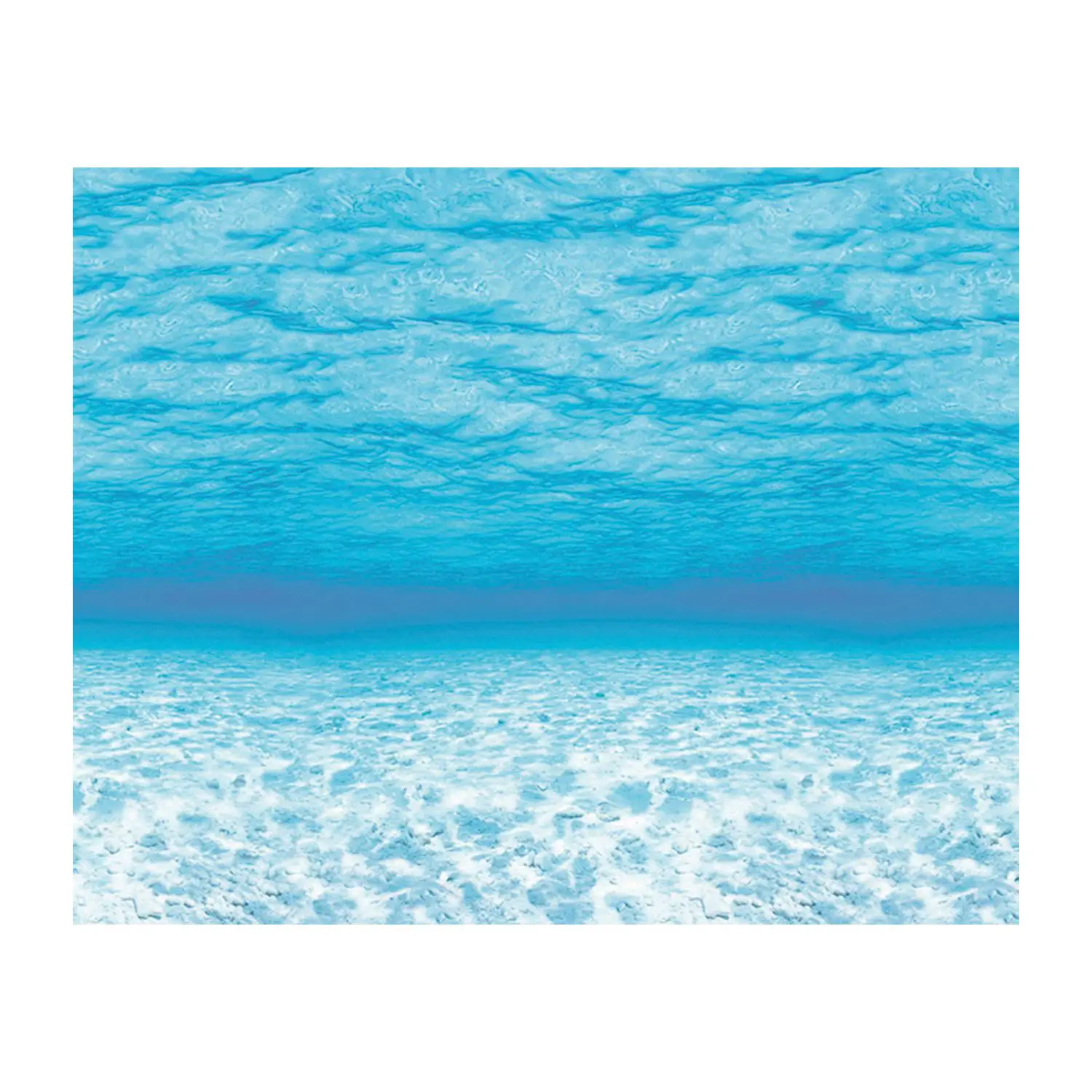 Carta Scenografica Fondale Mare - Carta e cartoncino