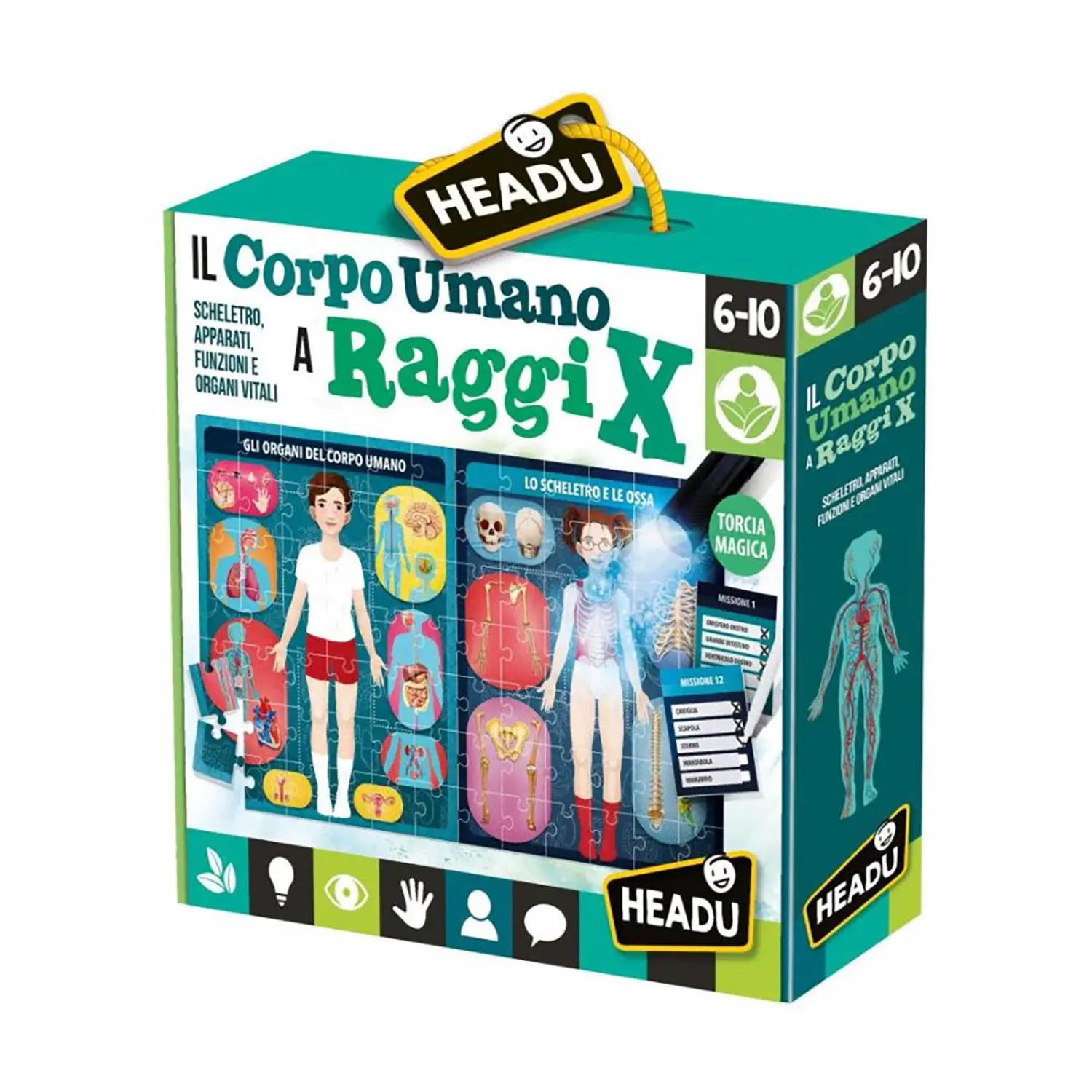 Il Corpo Umano a Raggi X - Associazioni e tombole