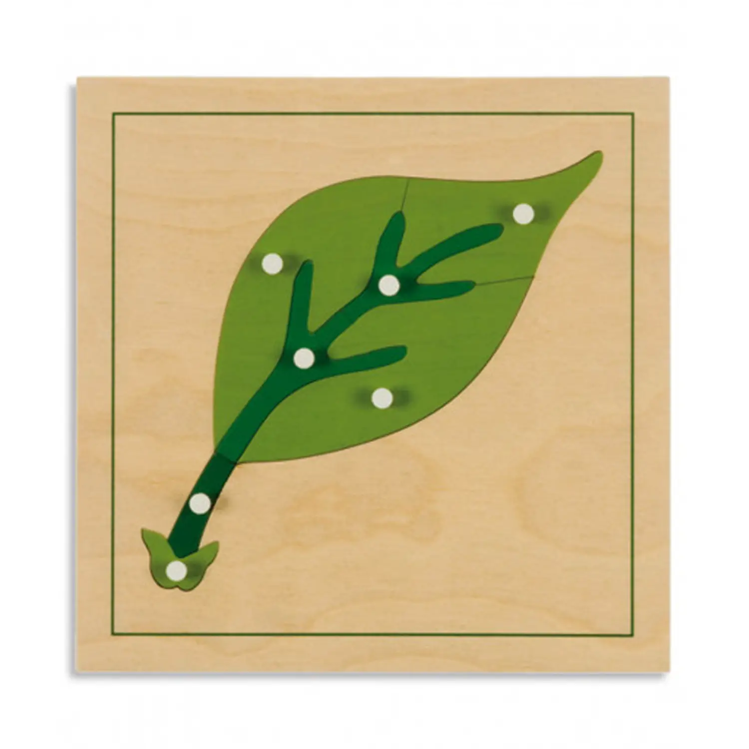 Gioco di Incastri Montessori – Parti della Foglia - leggere scrivere contare racco