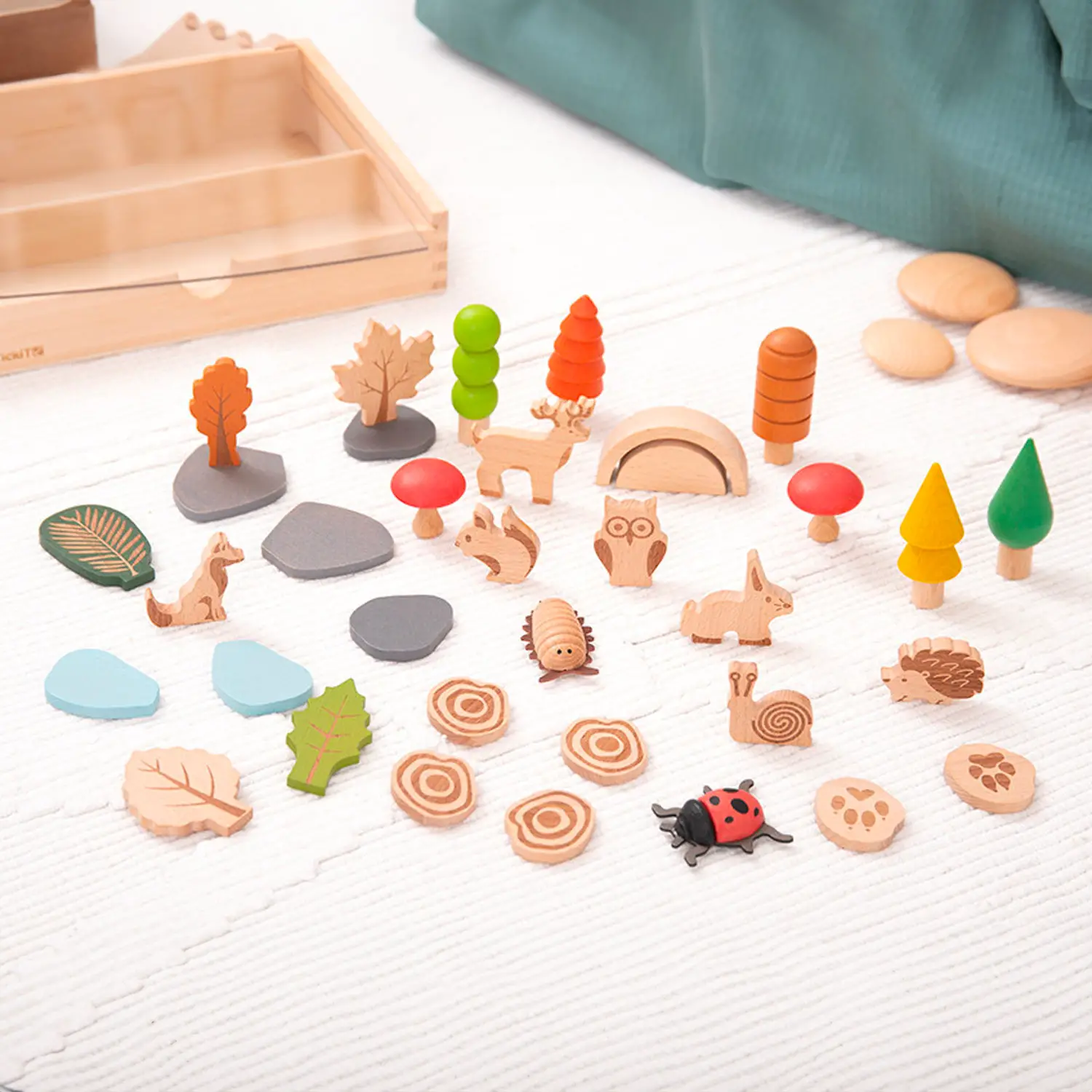 Sentiero nel Bosco - Gioco Alberi e Animali in Legno - Grandezze, forme e colori