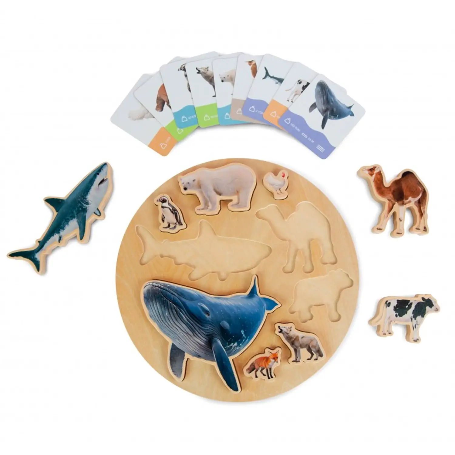 Puzzle Dimensioni degli Animali, Gioco Educativo in legno con Immagini Reali - Incastri e puzzle in legno