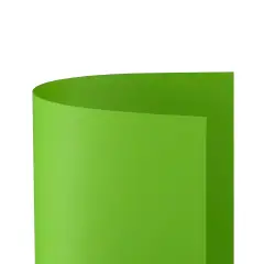 Cartoncino Bristol Liscio 200 gr - 25 Fogli 50x70 cm - Pistacchio