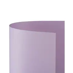 Cartoncino Bristol Liscio 200 gr - 25 Fogli 50x70 cm - Lilla