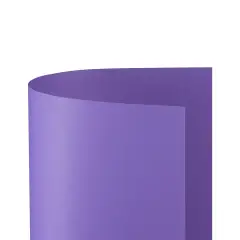 Cartoncino Bristol Liscio 200 gr - 10 Fogli 70x100 cm - Violetto