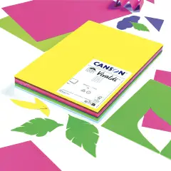 Cartoncino Vivaldi Canson Iris A4 185 g/m² - 120 Fogli Colori Vivaci Assortiti