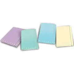 Cartella 3 Lembi con Elastico e Dorso 1,2 cm – Pastello Monocromo