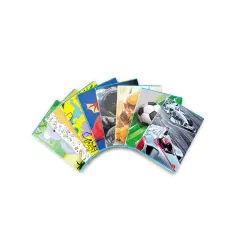 Quaderno Maxi per Bambini Fantasie Assortite: 80 g, Rigatura B per Terza Elementare
