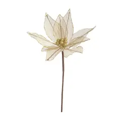 Poinsettia Olympias Fiore Natalizio 25x25 Oro